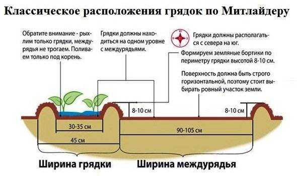 Демонтаж теплиц в Москве